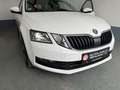 Skoda Octavia Octavia Combi 2.0 TDI DSG Clever Weiß - thumbnail 20