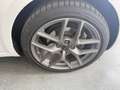 Skoda Octavia Octavia Combi 2.0 TDI DSG Clever Weiß - thumbnail 19