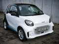 smart forTwo EQ 22kW-Laden AppleCarplay AndroidAuto PDC Weiß - thumbnail 11