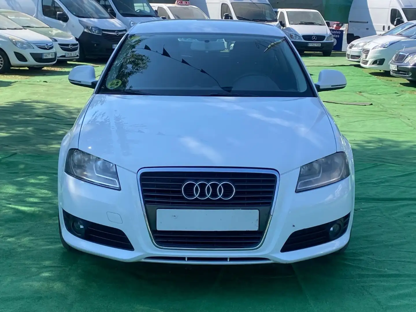 Audi A3 1.6TDI Ambiente Bianco - 2