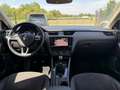 Skoda Octavia Combi Laurin&Klement / 1.Hand / PANO Weiß - thumbnail 12