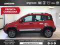 Fiat Panda 0.9 TwinAir Turbo S&S 4x4  CROSS S4 Rosso - thumbnail 1