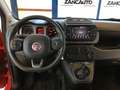 Fiat Panda 0.9 TwinAir Turbo S&S 4x4  CROSS S4 Rosso - thumbnail 11