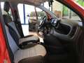 Fiat Panda 0.9 TwinAir Turbo S&S 4x4  CROSS S4 Rosso - thumbnail 13