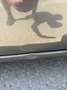 Peugeot Partner Tepee Family 1,6 e-HDi 92 FAP - thumbnail 14