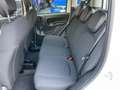 Fiat Panda Panda 1.0 FireFly S&S Hybrid Wit - thumbnail 7
