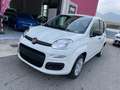 Fiat Panda Panda 1.0 FireFly S&S Hybrid Wit - thumbnail 1