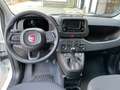 Fiat Panda Panda 1.0 FireFly S&S Hybrid Wit - thumbnail 8