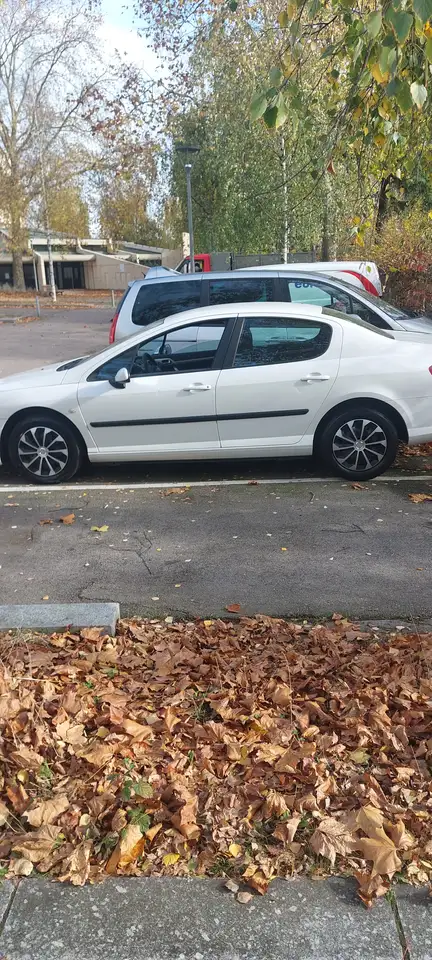 Peugeot 407 2.0 HDi 16v - 126Confort FAP