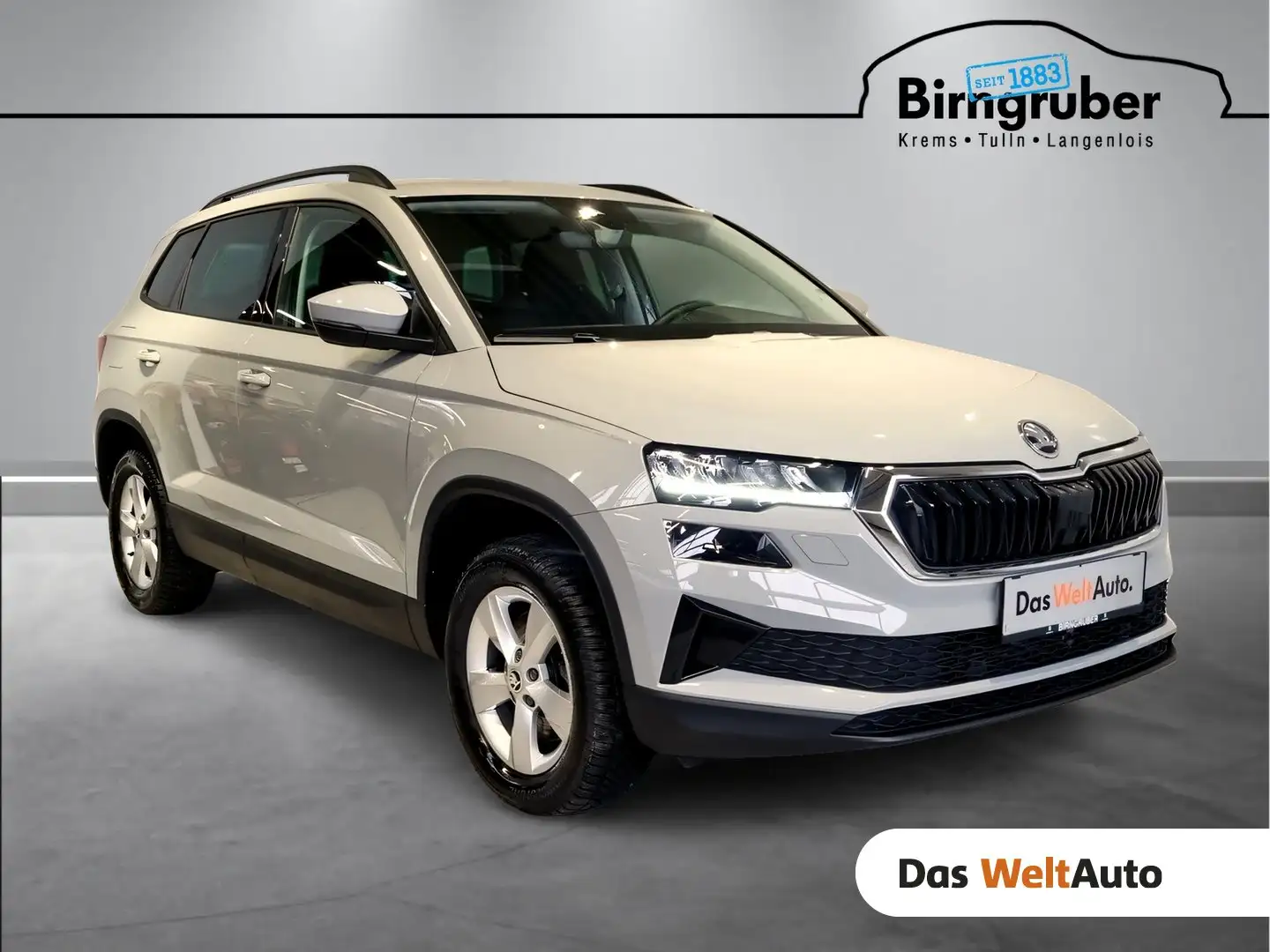 Skoda Karoq Selection TSI DSG ACT Grau - 1