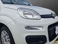 Fiat Panda Panda 1.2 easypower Pop Gpl 69cv E6 Wit - thumbnail 8