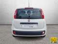 Fiat Panda Panda 1.2 easypower Pop Gpl 69cv E6 Wit - thumbnail 6