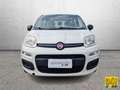 Fiat Panda Panda 1.2 easypower Pop Gpl 69cv E6 Wit - thumbnail 5