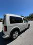 Volkswagen Caddy Caddy Alltrack 2,0 TDI Alltrack Weiß - thumbnail 8