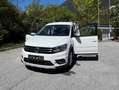 Volkswagen Caddy Caddy Alltrack 2,0 TDI Alltrack Weiß - thumbnail 3