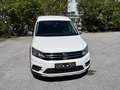 Volkswagen Caddy Caddy Alltrack 2,0 TDI Alltrack Weiß - thumbnail 2
