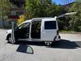 Volkswagen Caddy Caddy Alltrack 2,0 TDI Alltrack Weiß - thumbnail 5