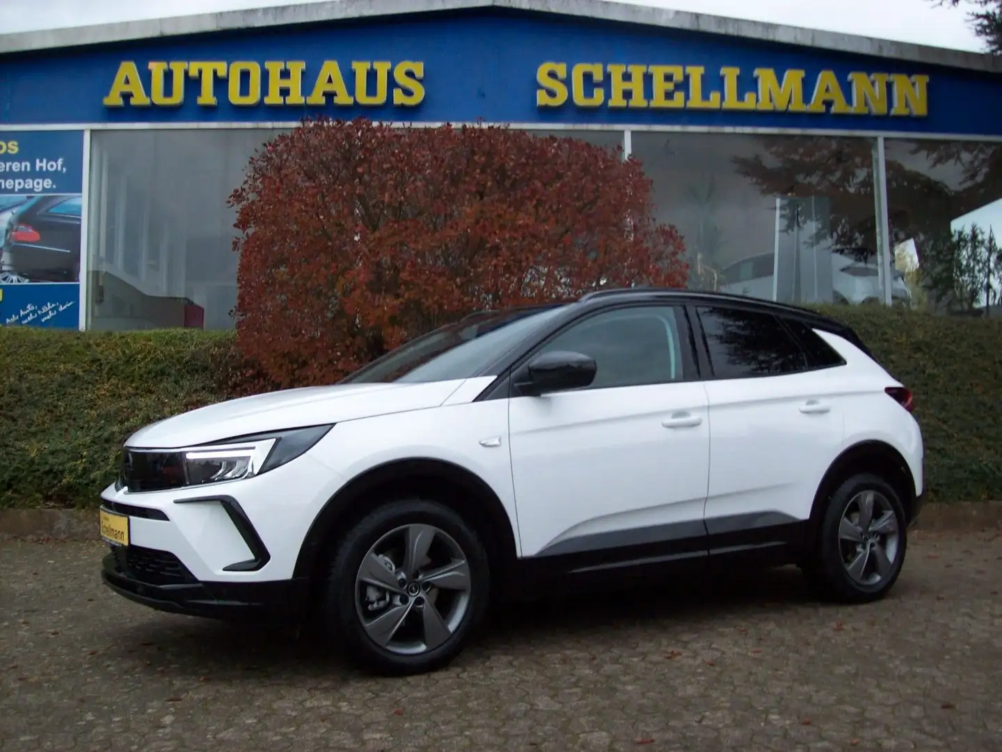 Opel Grandland X Grandland 1.2T GS LED 360 SHZ LHZ FSHZ Navi AT Weiß - 1