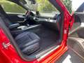 Audi A4 A4 Avant 2.0TDI Advanced ed. S tronic 140kW Advanced edition Rojo - thumbnail 12