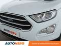 Ford EcoSport 1.0 EcoBoost Titanium Business Auto Blanc - thumbnail 29