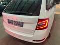 Skoda Fabia Combi 1.0l TSI 70kW AMBITION / ALU/Climatr Weiß - thumbnail 15