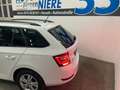 Skoda Fabia Combi 1.0l TSI 70kW AMBITION / ALU/Climatr Weiß - thumbnail 17