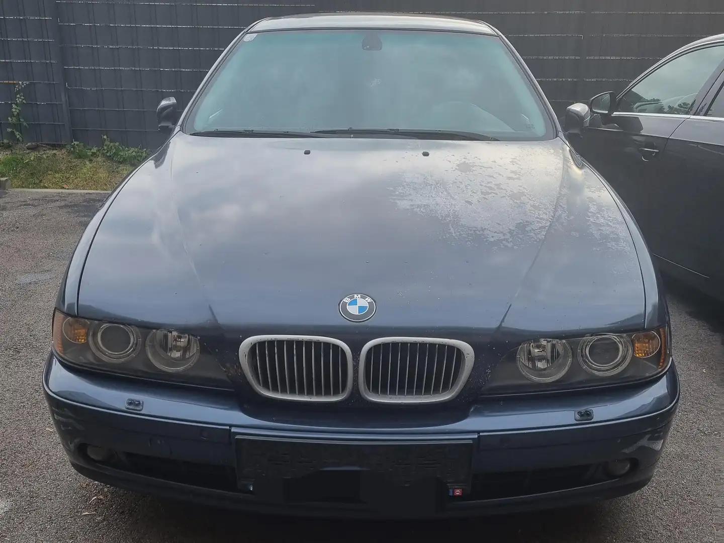 BMW 525 525d Bleu - 1
