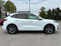 Ford Kuga ST-Line, Kamera, LED, Winter-P., FGS 5Jahre Blanc - thumbnail 3