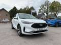 Ford Kuga ST-Line, Kamera, LED, Winter-P., FGS 5Jahre Blanc - thumbnail 1