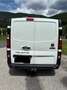 Fiat Talento Talento Business Van 1,6 EcoJet 120 L2H1 Weiß - thumbnail 6