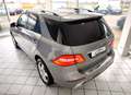 Mercedes-Benz ML 350 CDI*BlueTec*AMG Paket*4 Matic* Argintiu - thumbnail 9