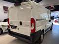Citroen Jumper Combi 2.2BlueHDI 30L1H1 120 Blanco - thumbnail 13