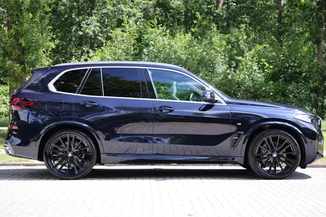 BMW X5 view 10
