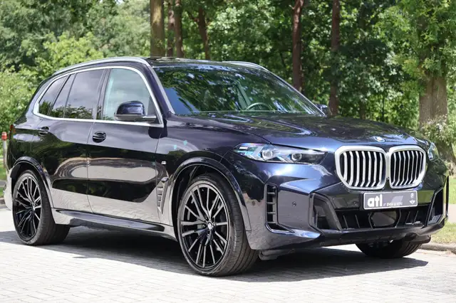 BMW X5 view 11