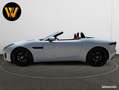 Jaguar F-Type ROADSTER 2.0 T P300 R-DYNAMIC BVA FACELIFT FULL OPTIONS PAS DE MALUS SUPERBE Weiß - thumbnail 17