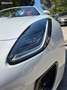 Jaguar F-Type ROADSTER 2.0 T P300 R-DYNAMIC BVA FACELIFT FULL OPTIONS PAS DE MALUS SUPERBE Weiß - thumbnail 14