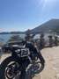 Fantic Caballero 500 flat track - thumbnail 4