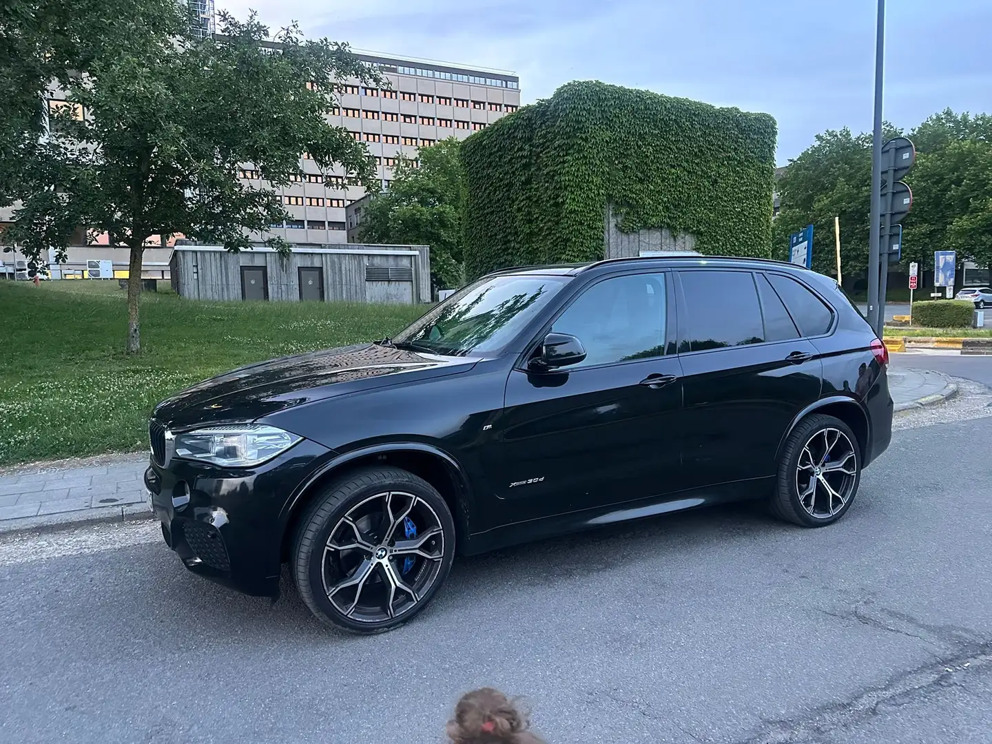 BMW X5 X5 3.0 dAS xDrive30 Noir - 1