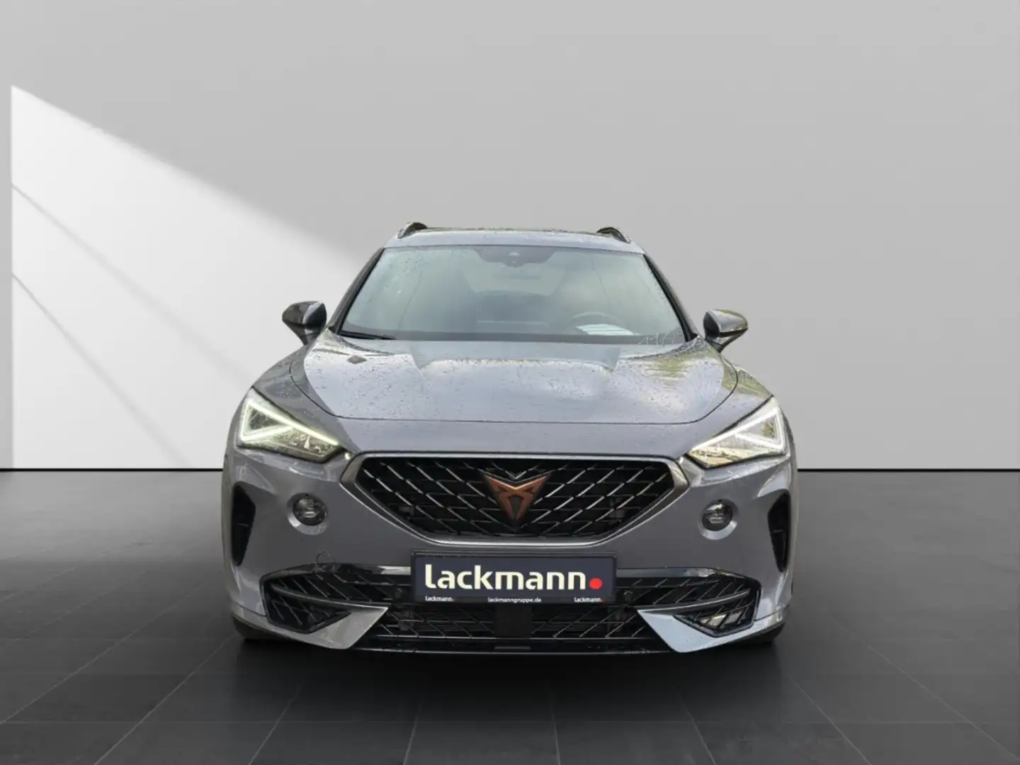 CUPRA Formentor 2.0 4Drive*Navi*CarPlay*Winter*Memory* Grau - 2