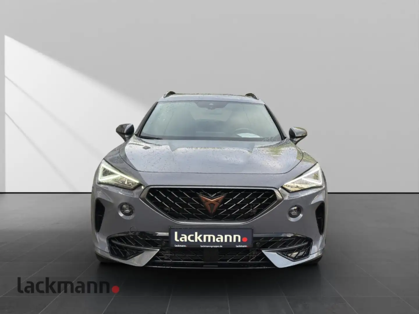 CUPRA Formentor 2.0 4Drive*Navi*CarPlay*Winter*Memory* Grau - 2