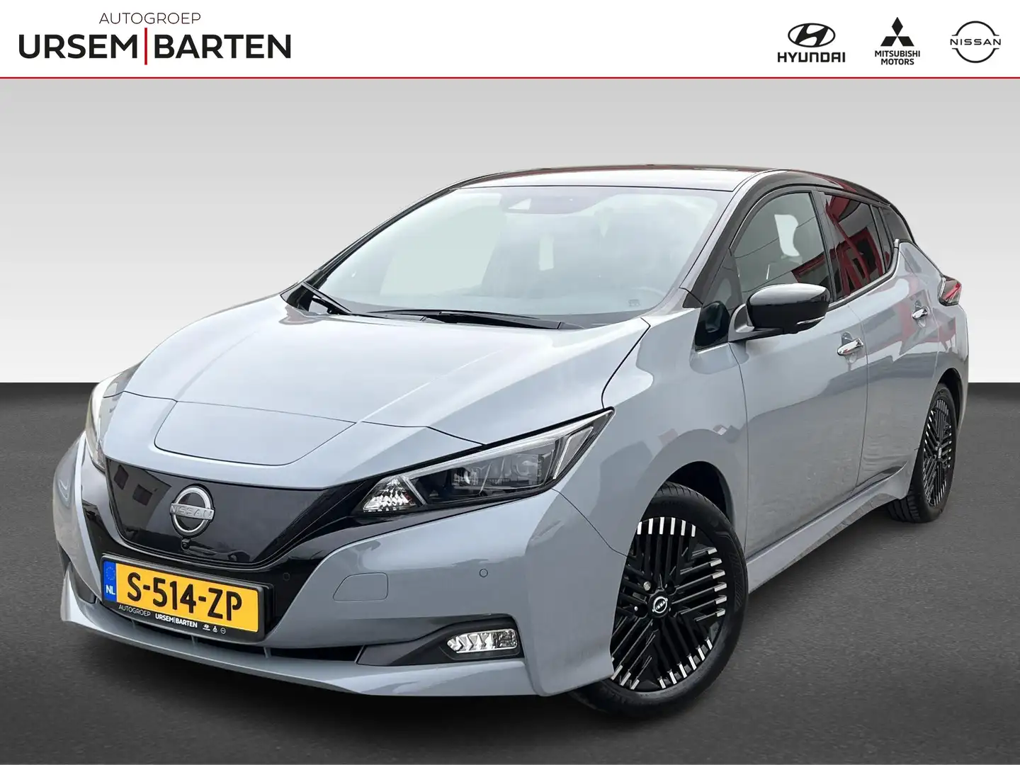 Nissan Leaf Business Executive 39kWh Grijs - 1