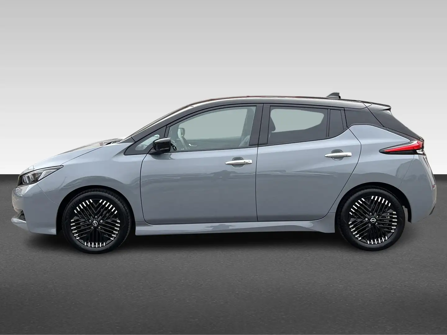 Nissan Leaf Business Executive 39kWh Grijs - 2