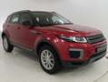 Land Rover Range Rover Evoque EVOQUE AWD 5p 2.0 td4 Pure 150cv Rosso - thumbnail 6