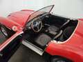 Austin-Healey 100 100/6 BN6 Rot - thumbnail 5