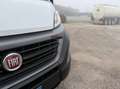 Fiat Ducato FIAT Ducato 35 MAXI 2.3 MJT 180CV Power PLM-TM Bianco - thumbnail 4
