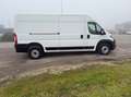 Fiat Ducato FIAT Ducato 35 MAXI 2.3 MJT 180CV Power PLM-TM Bianco - thumbnail 2