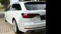 Audi A4 Avant 2.0 TFSI ultra S line ed. S-T 140kW Blanco - thumbnail 25