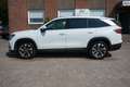 Skoda Kodiaq 2.0 TDI 193 PS 4x4 Sport*Head Up*7 Sitzer Weiß - thumbnail 6