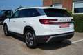 Skoda Kodiaq 2.0 TDI 193 PS 4x4 Sport*Head Up*7 Sitzer Weiß - thumbnail 5