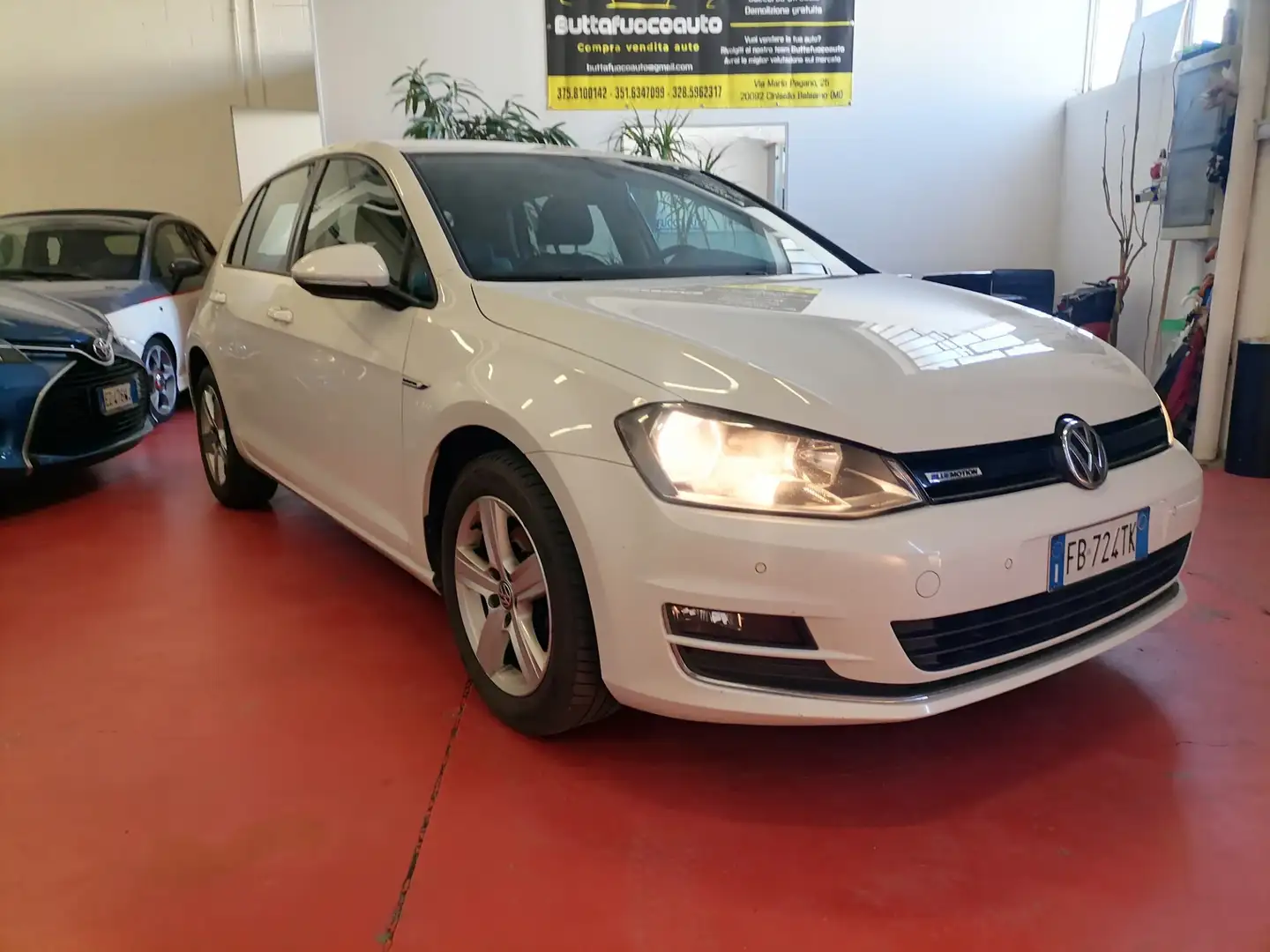 Volkswagen Golf 1.4 TGI 5p. Executive 4 Free BlueMotion Bianco - 1